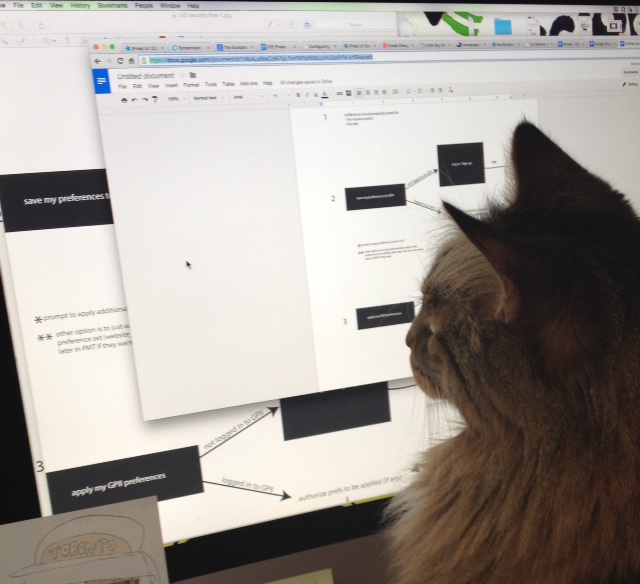photo of a cat staring raptly at a computer screen, on which is shown some designs related to GPII preferences setting